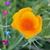 Colleen Vaughan's profile image
