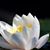 Tiffiny Suter's profile image
