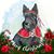 Laura Garlough Pingol's profile image
