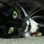 Sandi Galicki's profile image