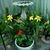Connie Mckinney's profile image