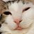 Lyn Czapla's profile image