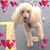 Sheila Stokes's profile image