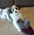 Deb Riley's profile image
