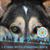 Judith Pansarosa's profile image