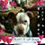 Lisa Soileau's profile image