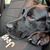 Amy Couts's profile image