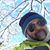 Eric Alan Holloway's profile image