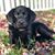 Amy Bennett's profile image