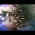 Emilia Roque Roberts's profile image