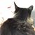 Verdie Sue Neprud's profile image