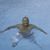 Juan Vargas's profile image