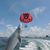Tracy Brummett Perdue's profile image