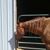 Linda Williamson's profile image