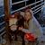 Melissa Leanna Nelson's profile image
