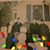 Sylvia Tardo's profile image