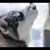 Linda S Renner's profile image