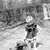 Bev Stedford's profile image