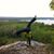 Tierney Brinkman Przystal's profile image