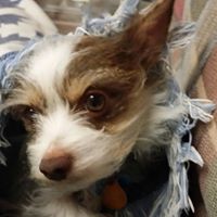 Christine Brown's profile image