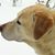 Brandy Lilly's profile image