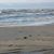 Linda Vaccaro's profile image
