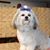 Dottie Sherman's profile image
