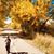 Jennifer Gellett Arnold's profile image