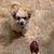 Etta Mac's profile image