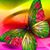 Misty Wallace Holloway's profile image