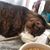 Tara Hinton Deming's profile image