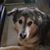 Tricia Lisi Deal's profile image