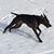 Andrea Weidner's profile image