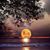 Lynn M Carroll's profile image