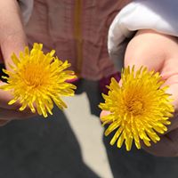 DT Monte's profile image