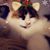 Julie Wolanski Holdsworth's profile image
