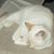 Ann Tweedy's profile image