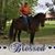 Cheryl Marlar Parkes's profile image