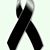 Steve Garcia's profile image