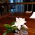 Joyce Cury's profile image