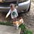Patty Kilgore Foreman's profile image