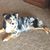 Jeannette Ciriello's profile image