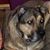 Sherri Ashline's profile image