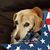 Rebecca Deutsch Caranna's profile image