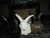 Jennifer W.'s profile image
