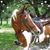 Donna Lewis Alley's profile image