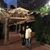 Marianne Graham Hollingshead's profile image