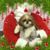 Fred Schuerg's profile image