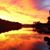 Lisa Viktora-Orthaus's profile image
