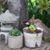 Brenda Burnham McQuillan's profile image